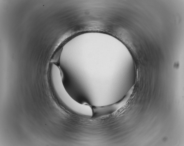 X0000098220156200805221656