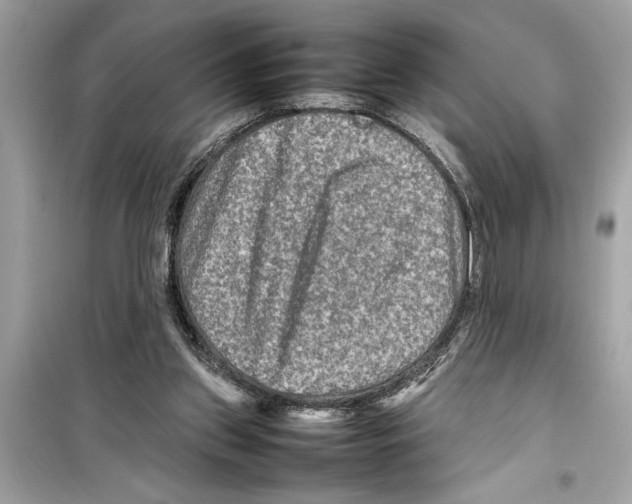 X0000098220157200805221656
