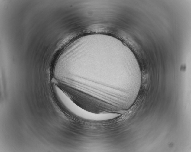 X0000098220158200805221656