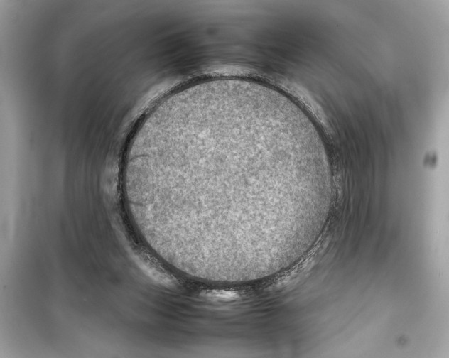 X0000098220159200805221656