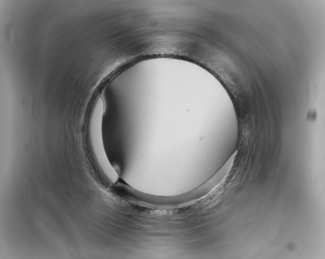 X0000098220160200805221656