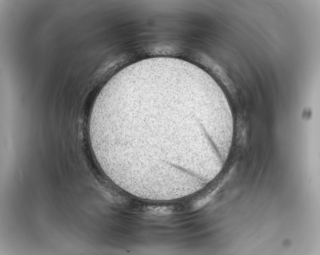 X0000098220161200805221656