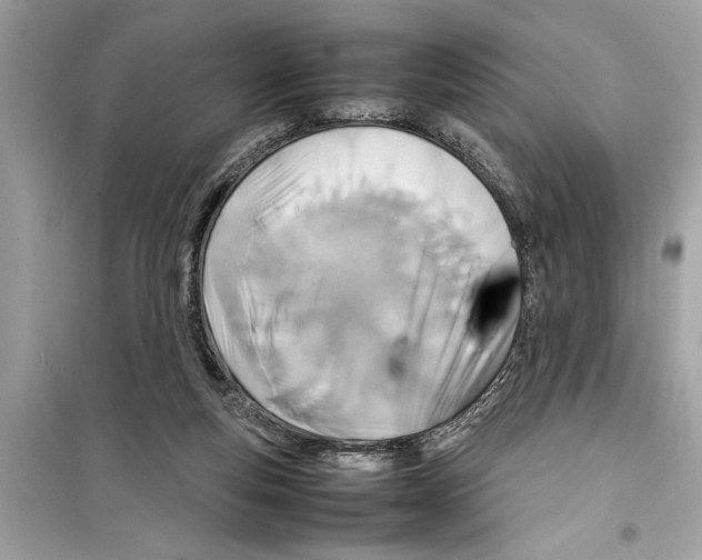 X0000098220163200805221656