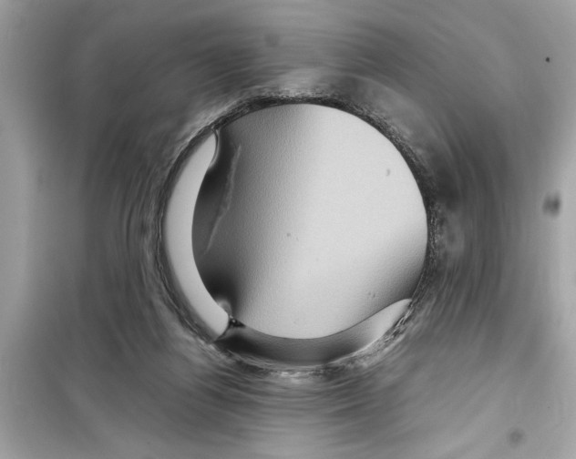X0000098220164200805221656
