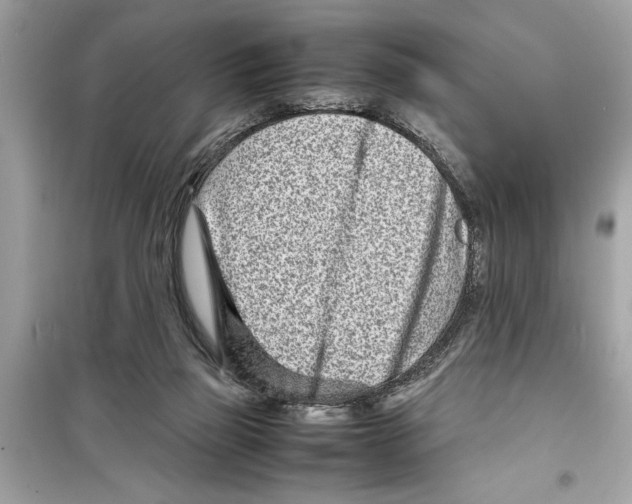 X0000098220165200805221656