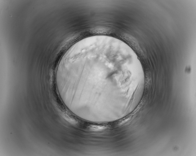 X0000098220167200805221656
