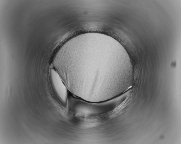X0000098220168200805221656