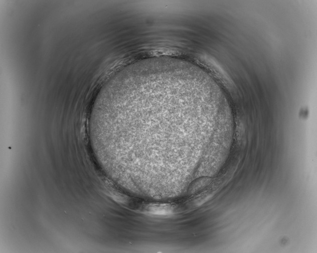 X0000098220169200805221656