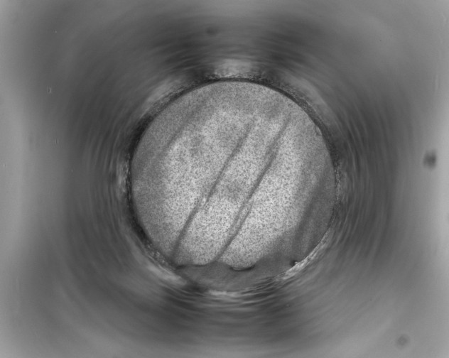 X0000098220171200805221656