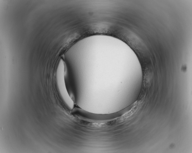 X0000098220172200805221656