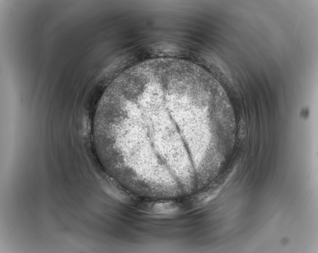X0000098220173200805221656