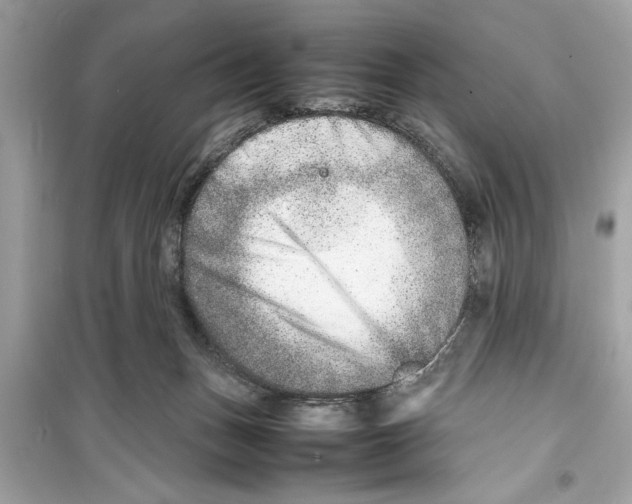 X0000098220175200805221656