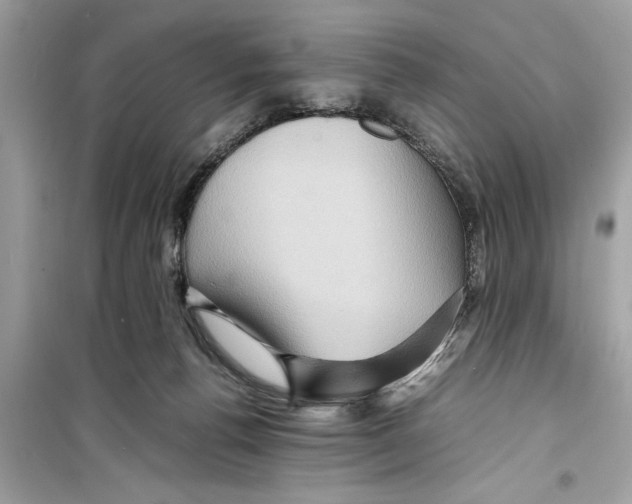 X0000098220176200805221656