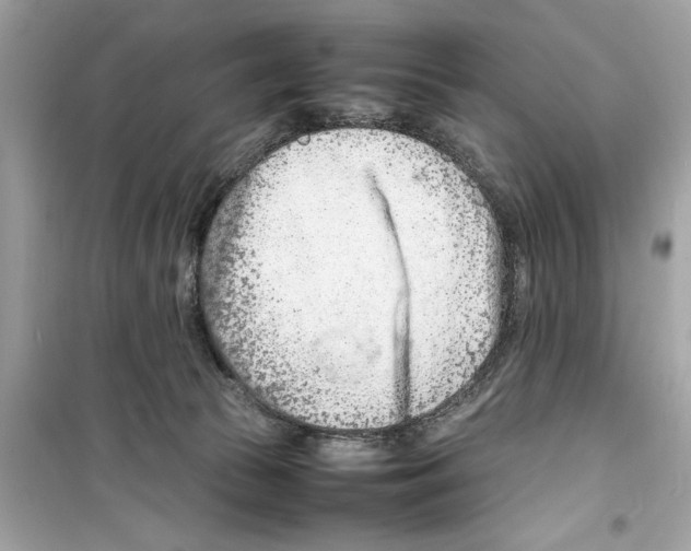 X0000098220177200805221656