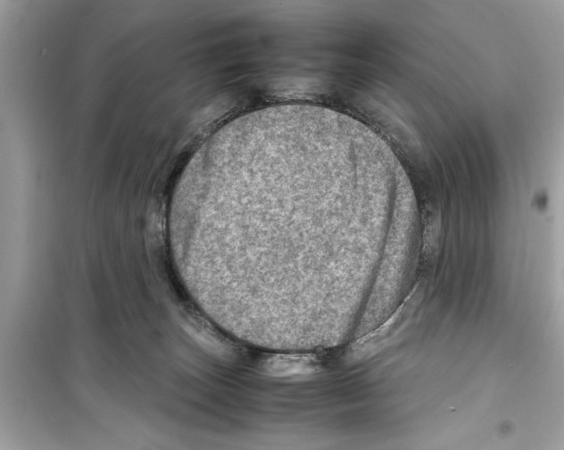 X0000098220179200805221656