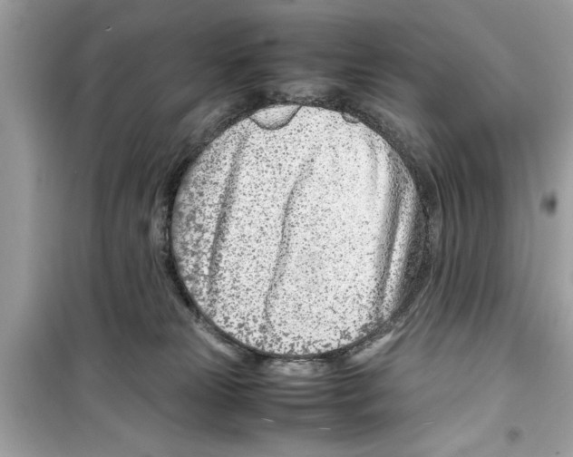 X0000098220181200805221656