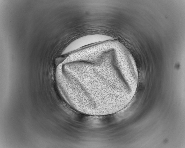 X0000098220182200805221656