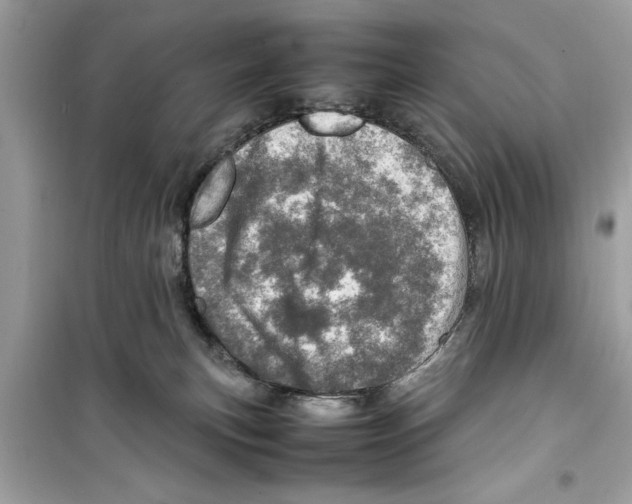 X0000098220183200805221656