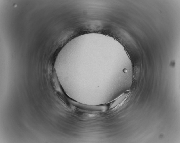 X0000098220184200805221656