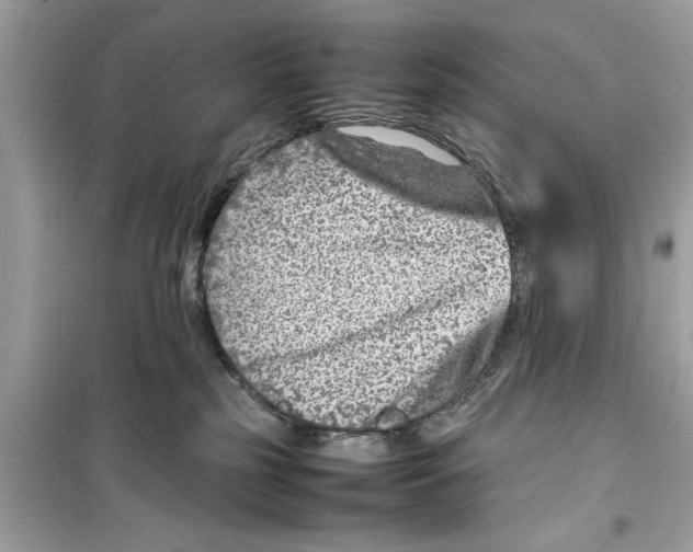 X0000098220185200805221656