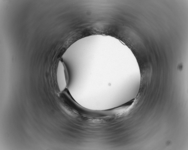 X0000098220186200805221656