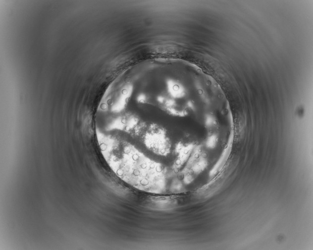 X0000098220187200805221656
