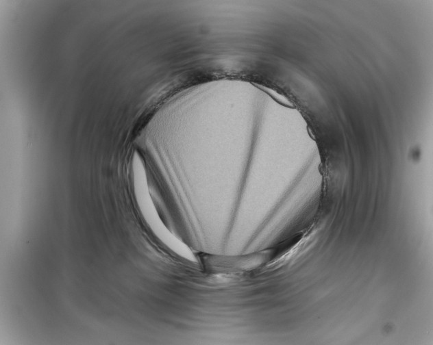 X0000098220188200805221656
