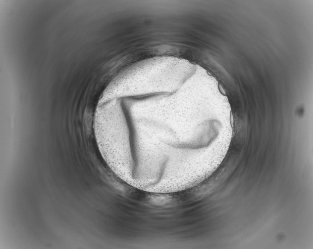 X0000098220189200805221656