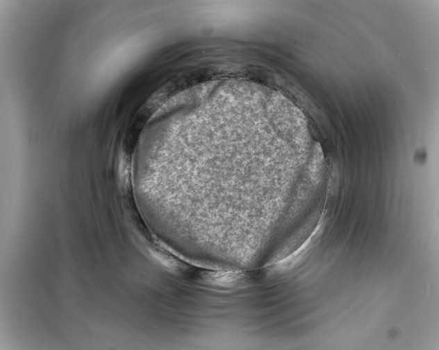X0000098220191200805221656