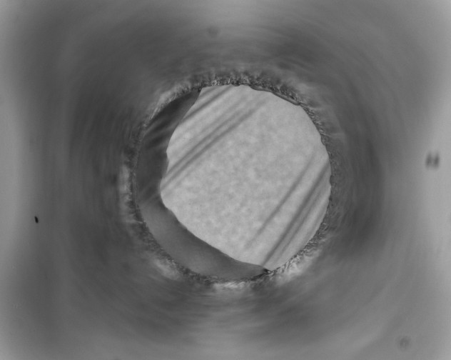 X0000098220192200805221656