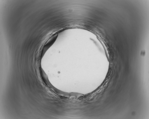 X0000098220193200805221655