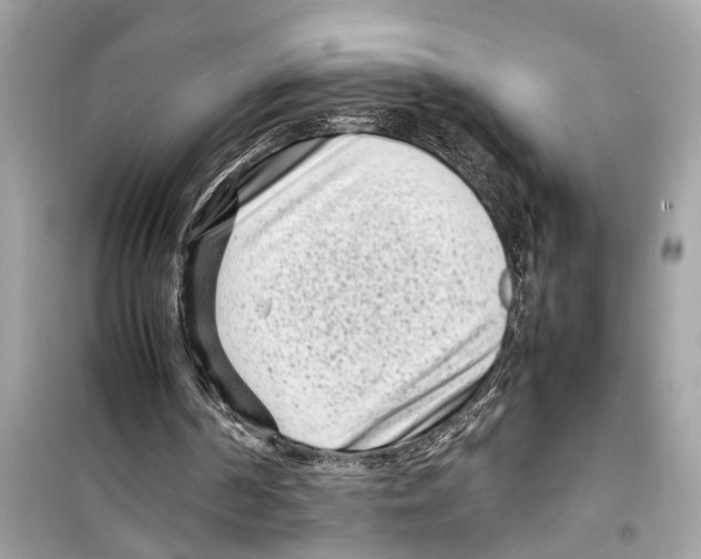 X0000098220194200805221655
