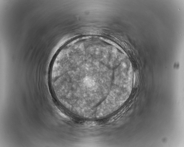 X0000098220195200805221655