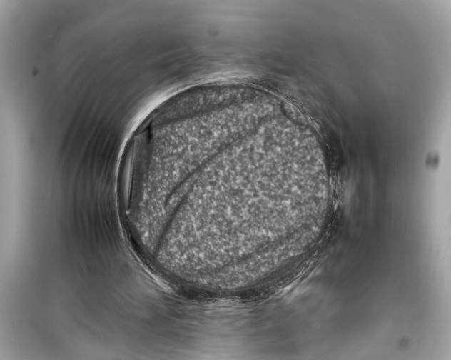 X0000098220196200805221655