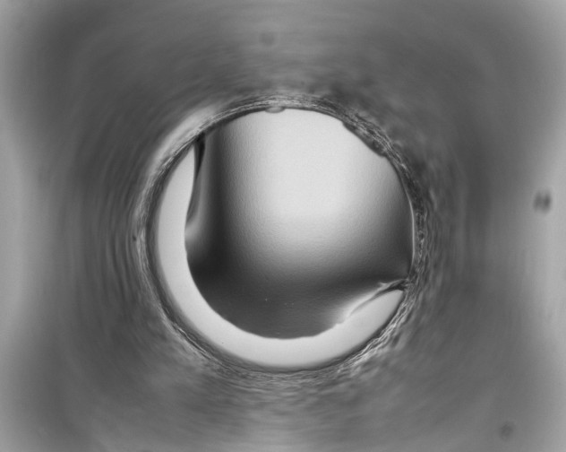 X0000098220197200805221655