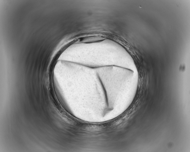 X0000098220198200805221655