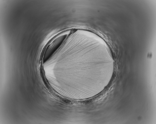 X0000098220199200805221655