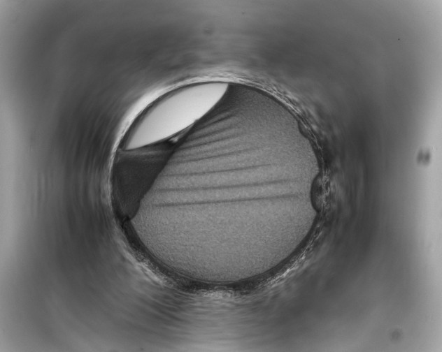X0000098220200200805221655