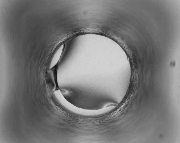 X0000098220201200805221655