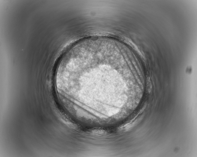 X0000098220203200805221655