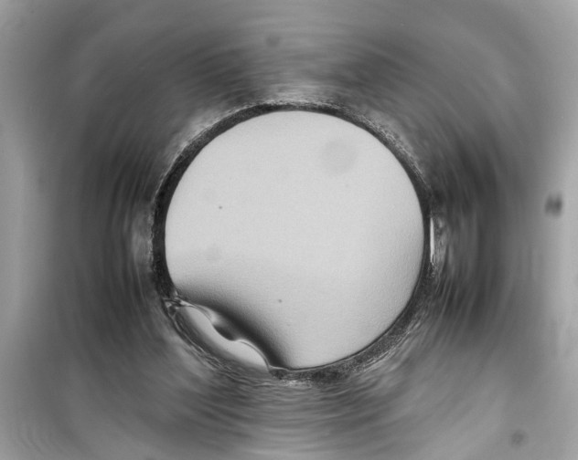 X0000098220204200805221655
