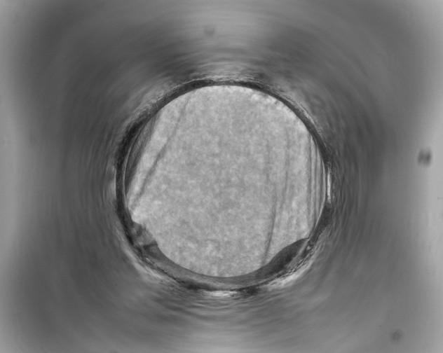 X0000098220205200805221655