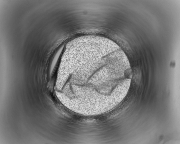 X0000098220206200805221655