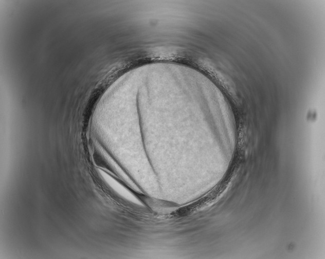 X0000098220209200805221655
