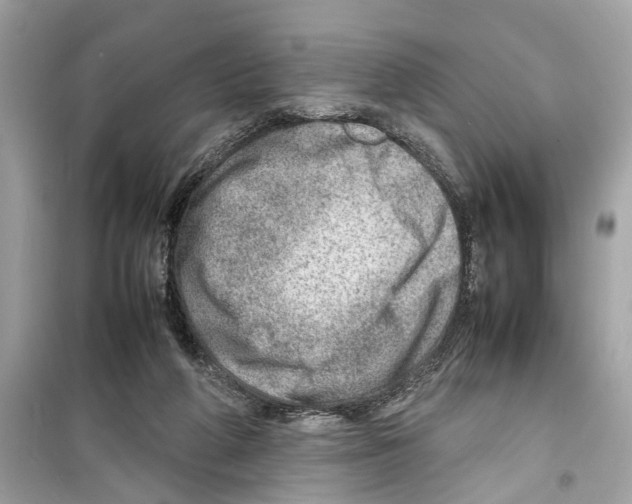 X0000098220210200805221655