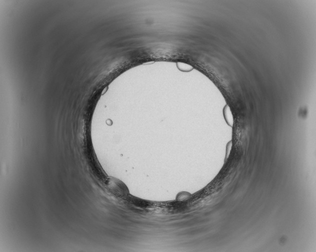 X0000098220211200805221655