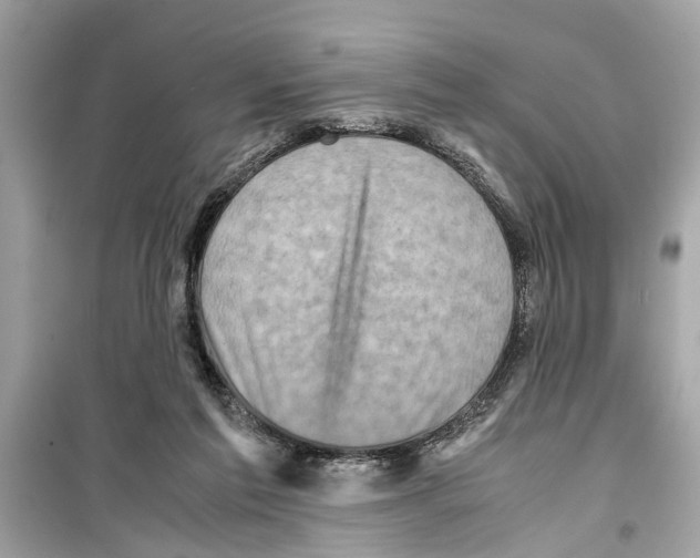 X0000098220213200805221655