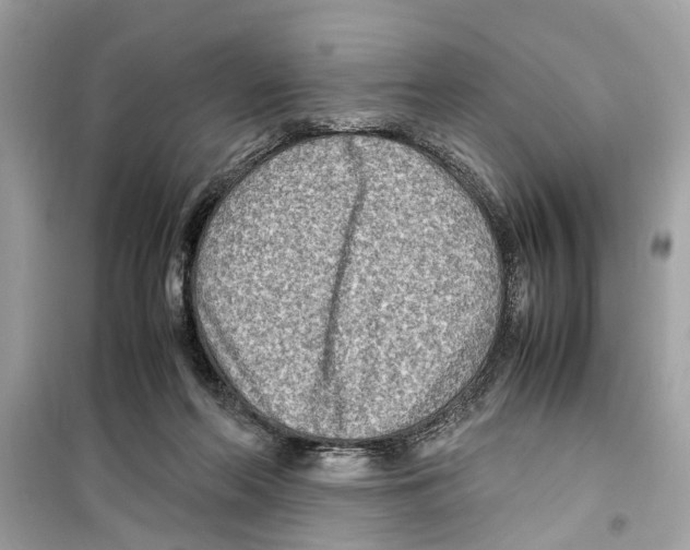 X0000098220214200805221655