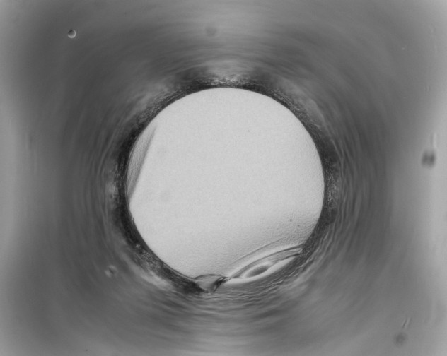 X0000098220215200805221655