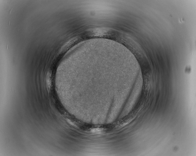 X0000098220216200805221655